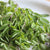 Die gesundheitlichen Vorteile von Moringa-Blättern: Was Sie wissen sollten