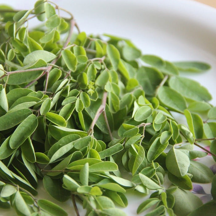 Die gesundheitlichen Vorteile von Moringa-Blättern: Was Sie wissen sollten - yoyosan