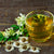 Moringa-Tee: Der perfekte Durstlöscher für einen gesunden Lebensstil
