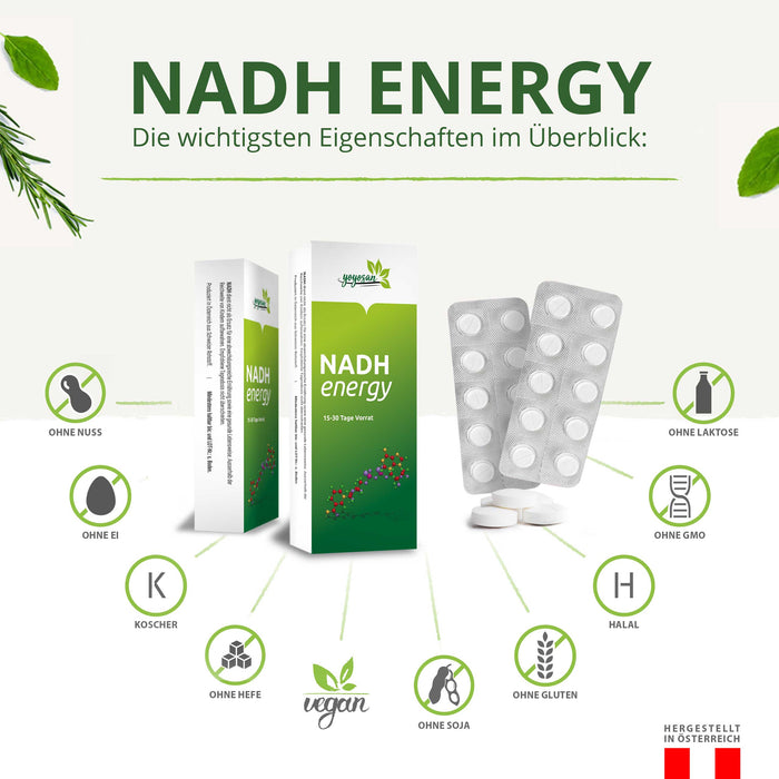 NADH Energy