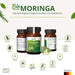 Moringa Bio - yoyosan GmbH