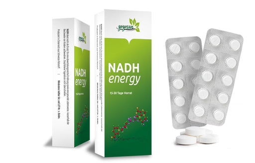 NADH Energy - yoyosan