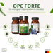 OPC forte - yoyosan GmbH